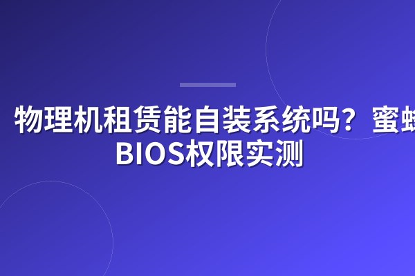 物理机租赁能自装系统吗?蜜蜂云BIOS权限实测