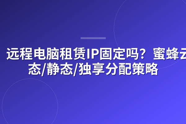 远程电脑租赁IP固定吗?蜜蜂云动态/静态/独享分配策略